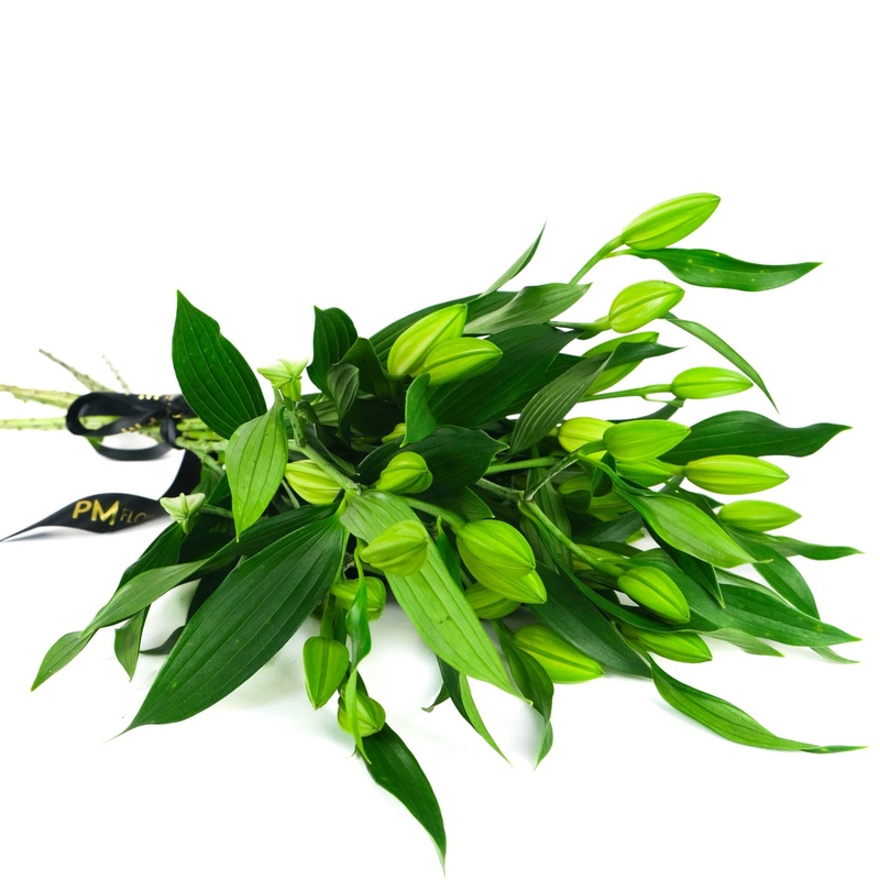 White Lilys|10 Stems|12 Stems|15 Stems|20 Stems