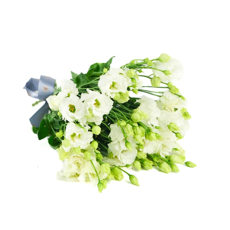 White Lisianthus|10 Stems|12 Stems|15 Stems|20 Stems