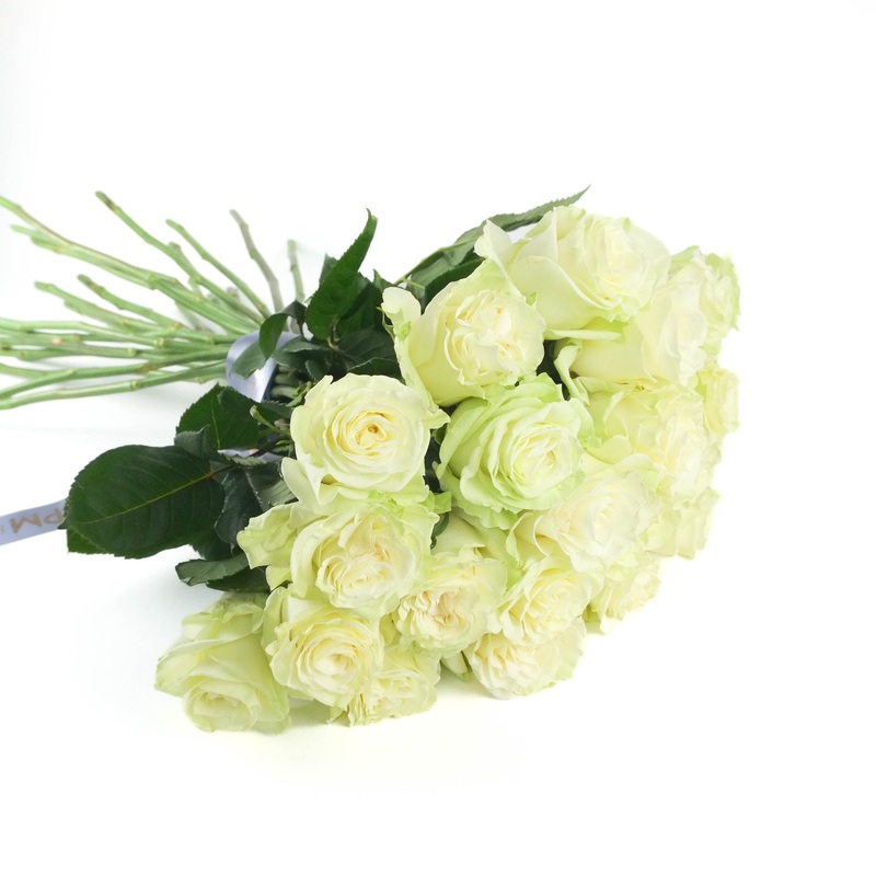 White Mondial Roses|10 Stems|12 Stems|15 Stems|20 Stems
