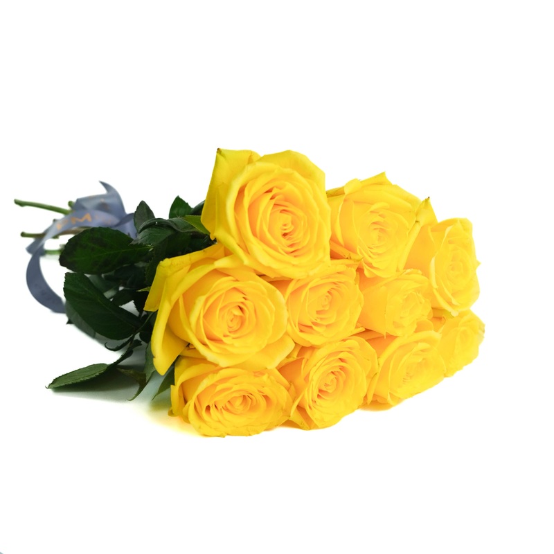 Yellow Momentum Roses|10 Stems|12 Stems|15 Stems|20 Stems