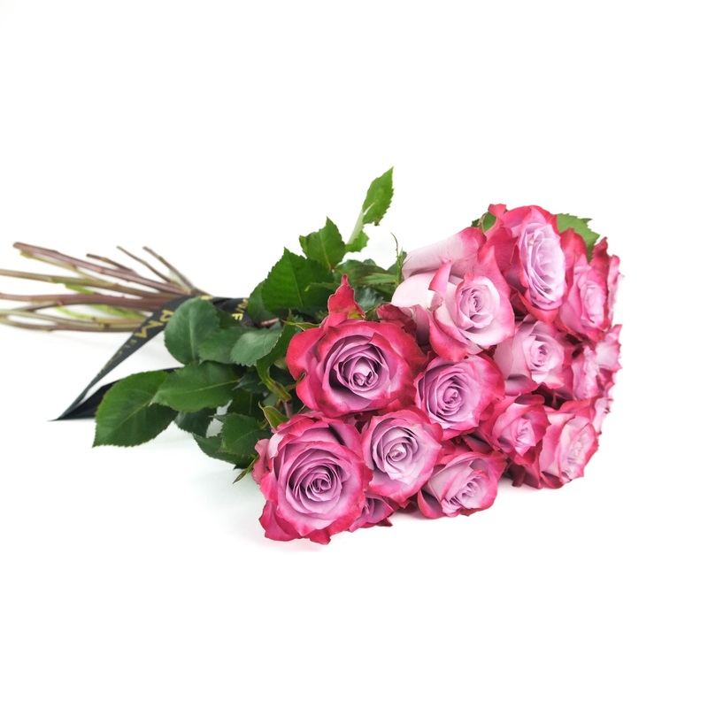Deep Purple Roses|10 Stems|12 Stems|15 Stems|20 Stems