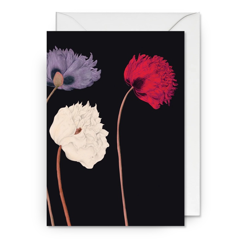 Poppys Flower Card