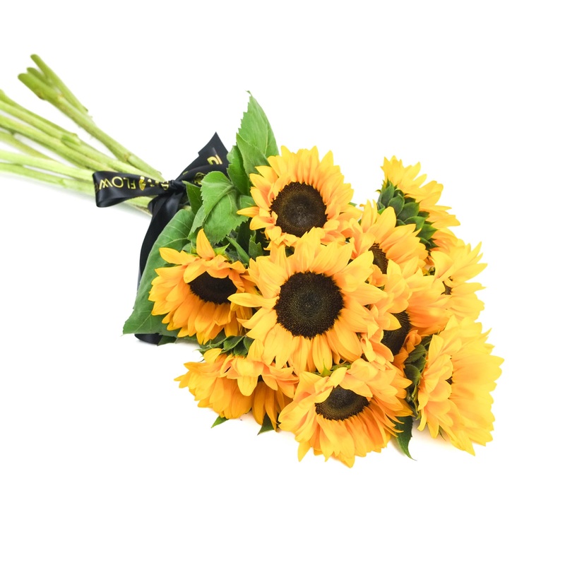 Sunflowers|10 Stems|12 Stems|15 Stems|20 Stems