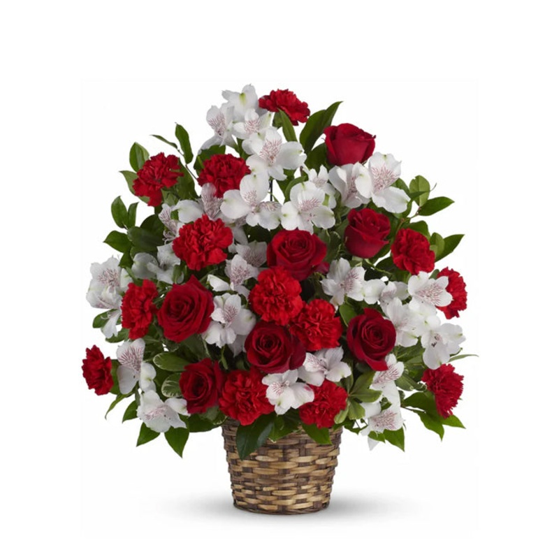 Beauty and Devotion|Regular