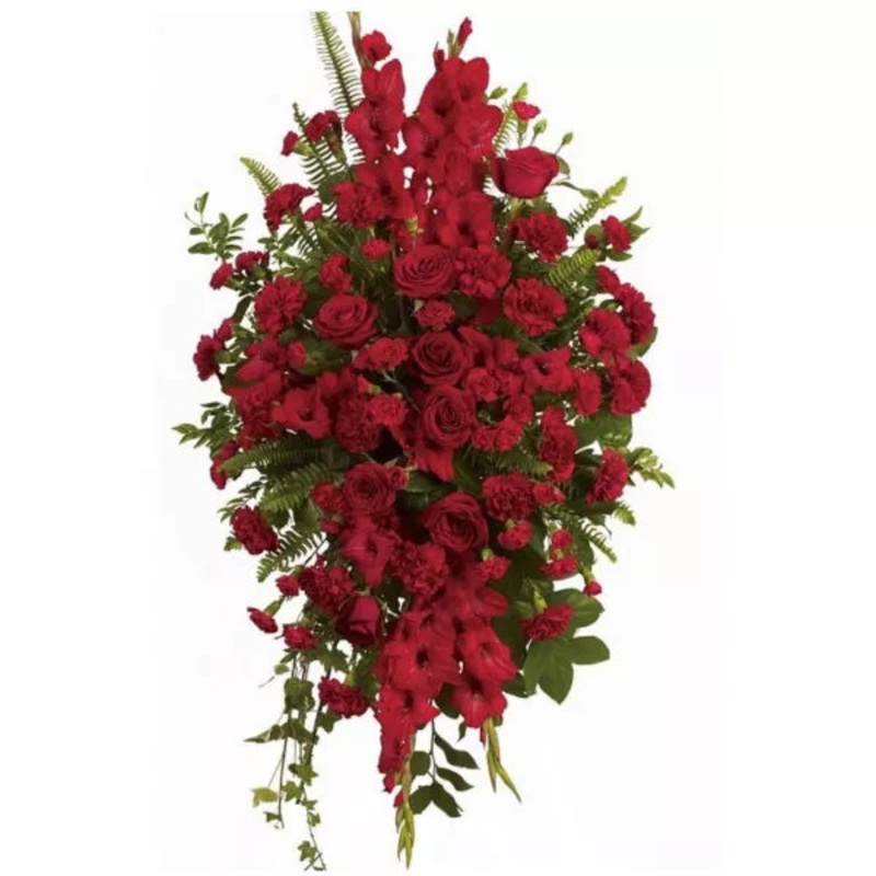 Deep in Our Hearts|Regular