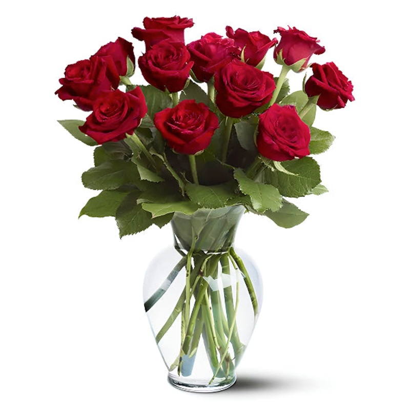 One Dozen Long Stem Red Rose|Regular
