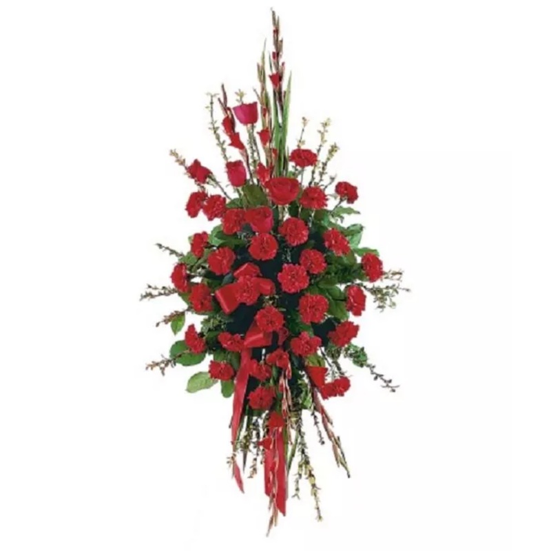 Warm Regards Spray|Regular