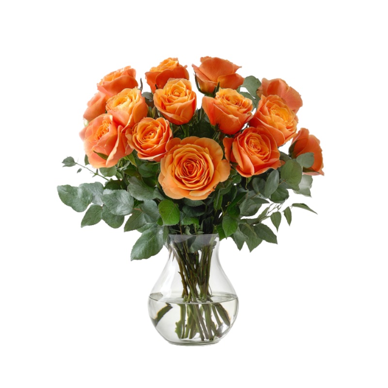 12 Long Stemmed Orange Roses|Regular|Deluxe|Supersize