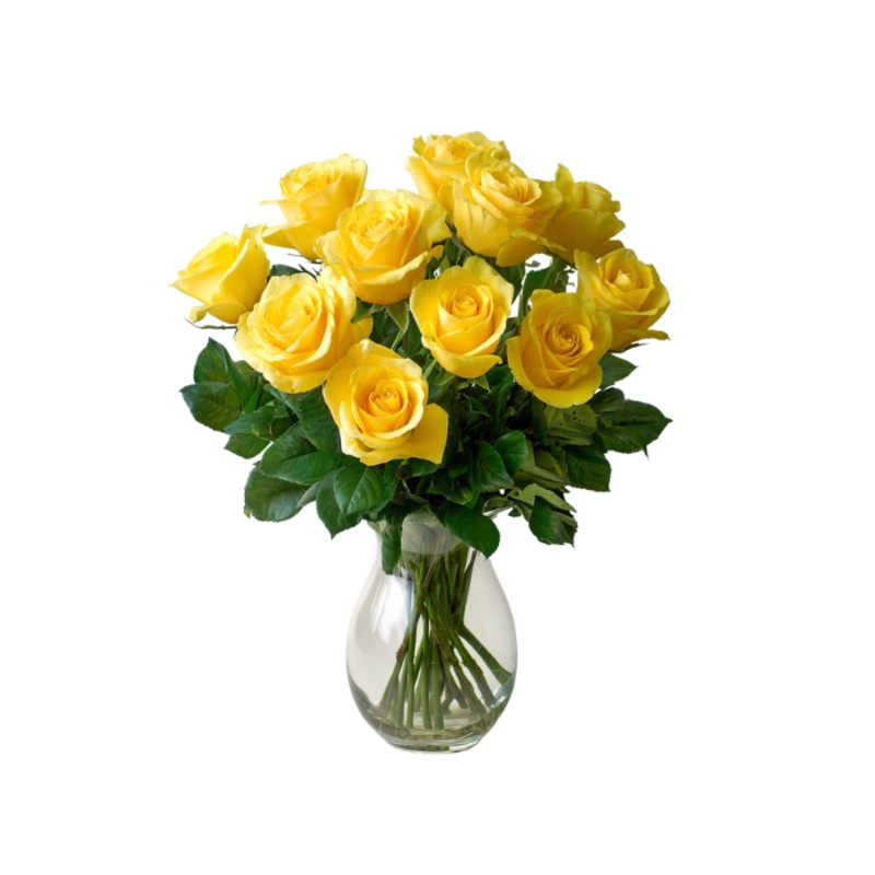 12 Long Stemmed Yellow Roses|Regular|Deluxe|Supersize