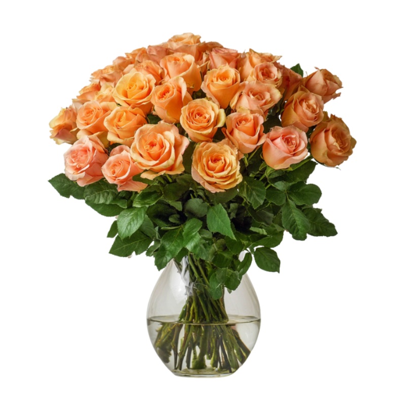 36 Long Stem Orange Roses|Regular