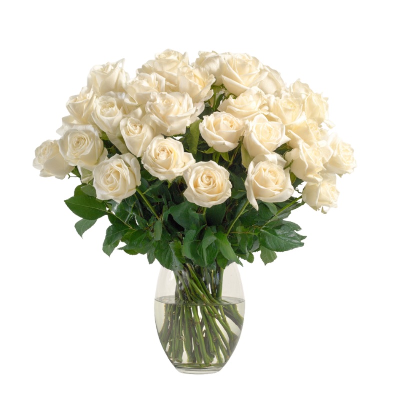 36 Long Stem White Roses|Regular|Deluxe|Supersize