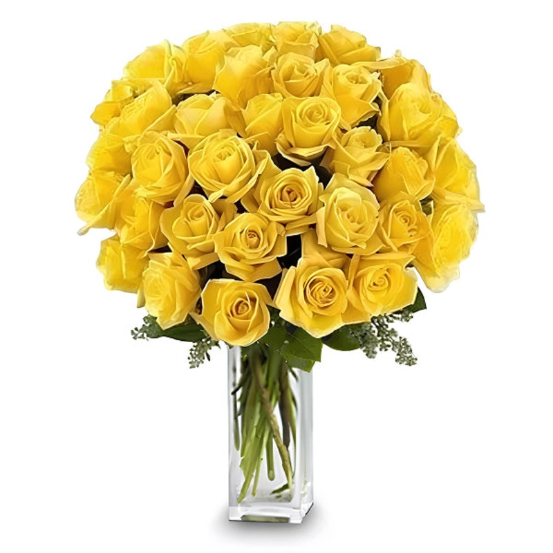 36 Long Stem Yellow Roses|Regular