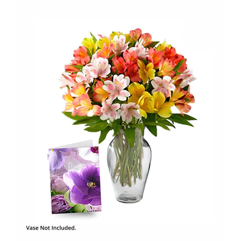 50 Blooms of Alstroemeria|Regular|Deluxe|Supersize
