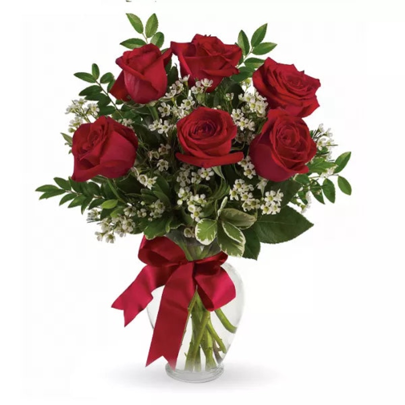 6 Long Stemmed Red Roses|Regular|Deluxe|Supersize