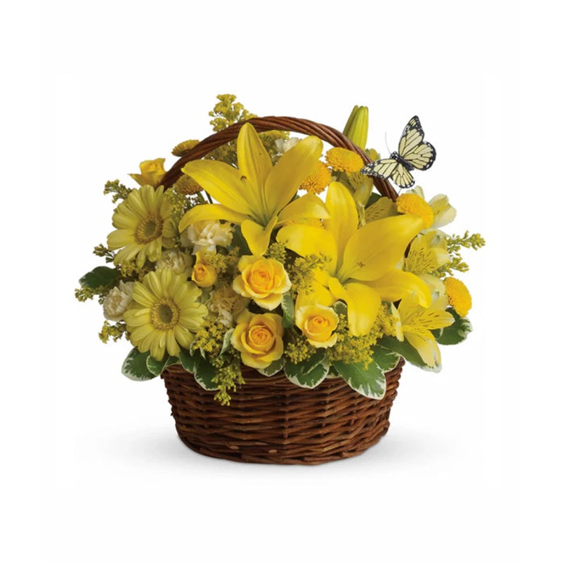 Basket Full of Wishes|Regular