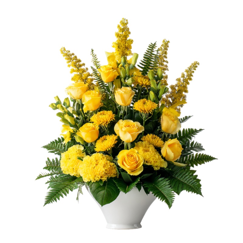 Brighter Blessing|Regular