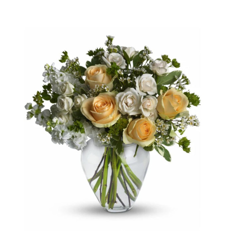 Celestial Love|Regular|Deluxe|Supersize