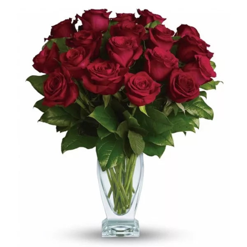 Eighteen Long Stem Red Roses|Regular