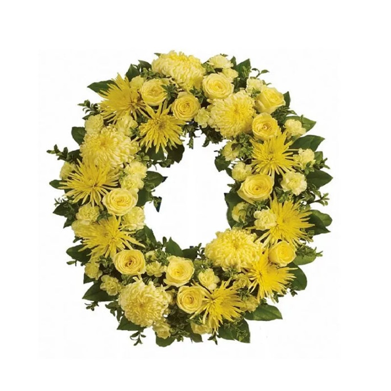 Eternal Sunshine|Regular