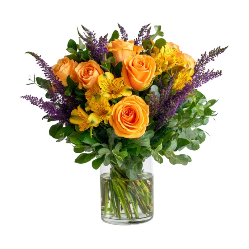 Feeling Peachy|Regular|Deluxe|Supersize