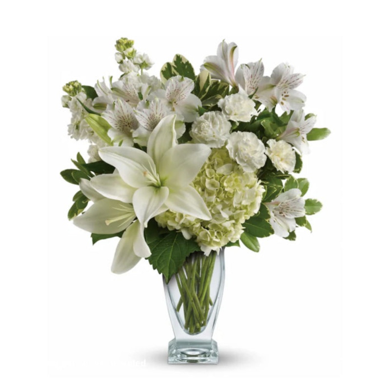 Heart & Stroke Purest Love|Regular