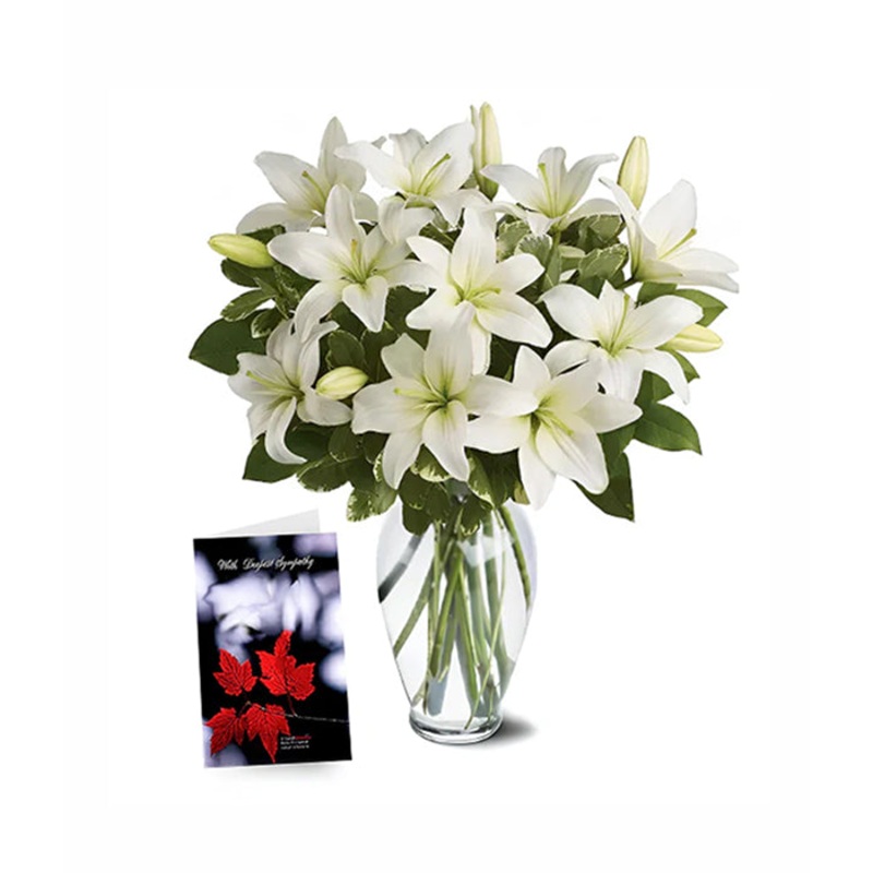 Heavenly Lilies|Regular