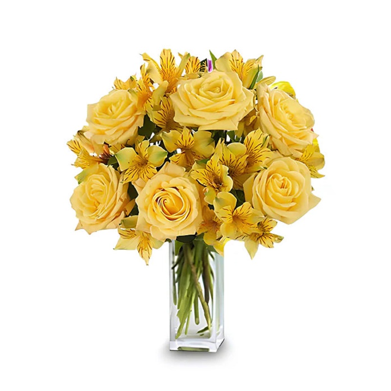 Heavenly Sunsets|Regular|Deluxe|Supersize