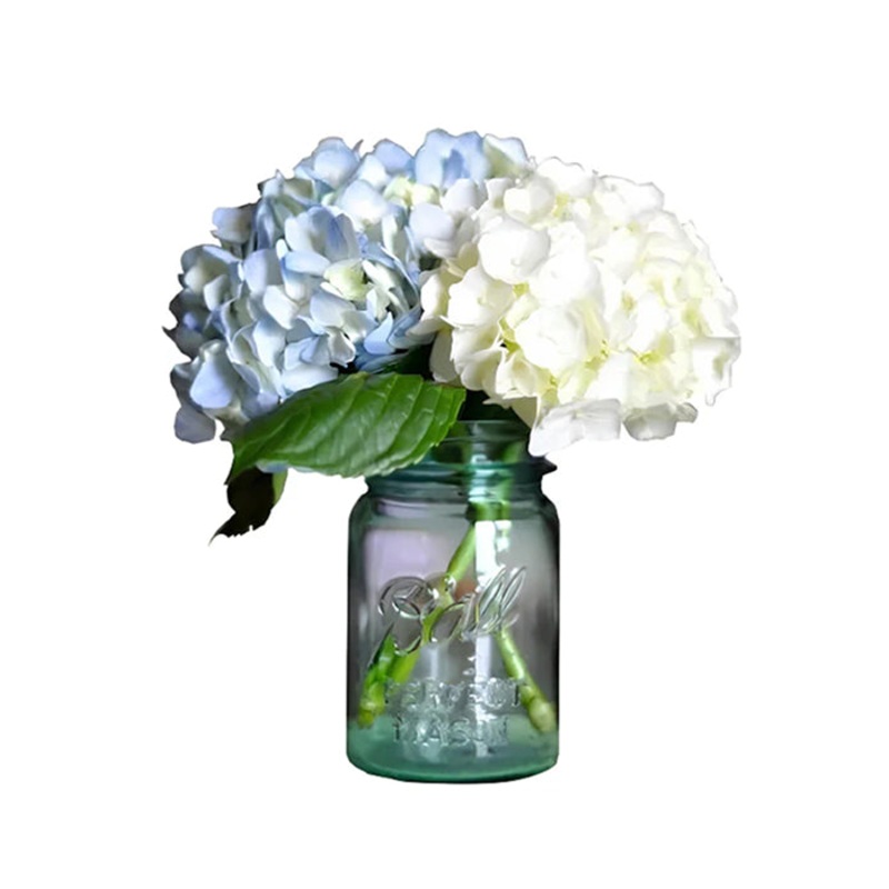 Hydrangea in Mason Jar|Regular