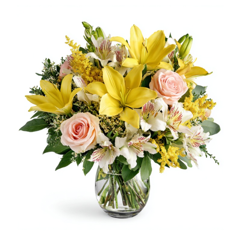 Joyous Delight|Regular|Deluxe|Supersize