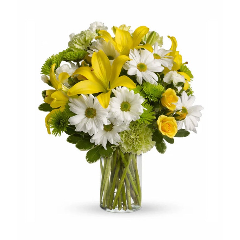 Morning Bright|Regular|Deluxe|Supersize