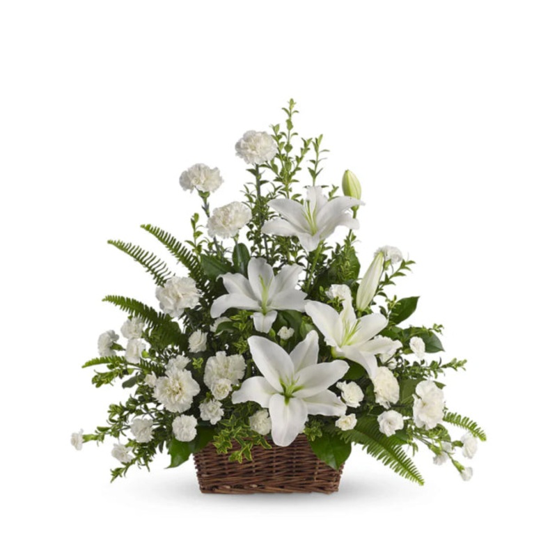 Peaceful White Lilies|Regular