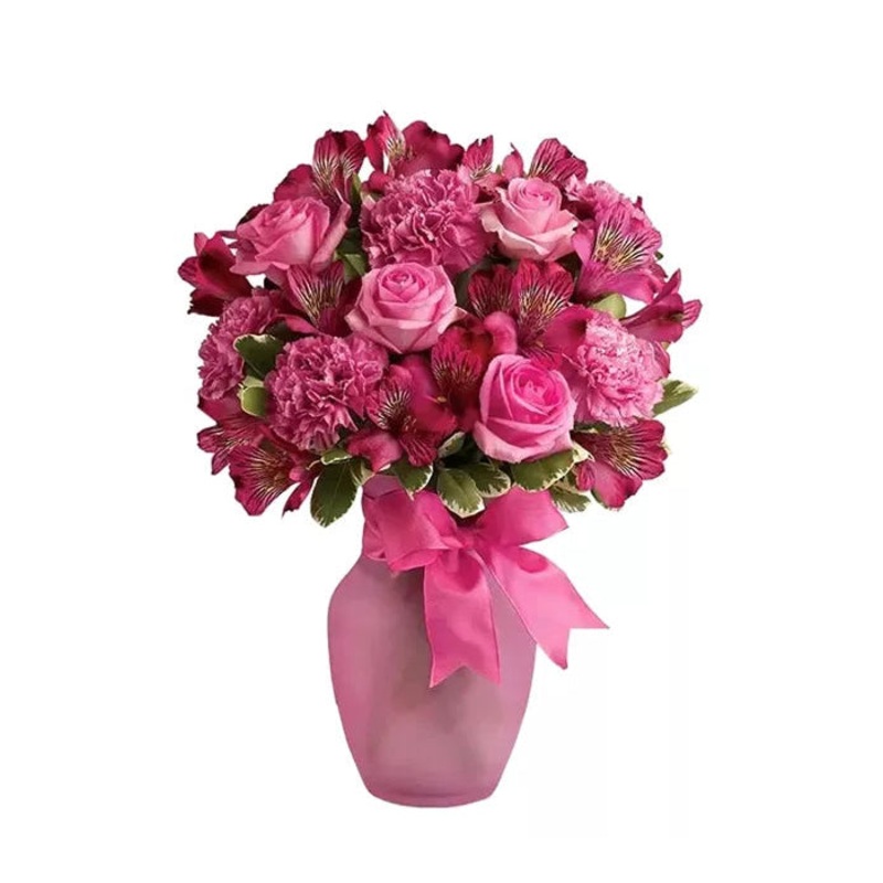 Pink Dreams|Regular|Deluxe|Supersize