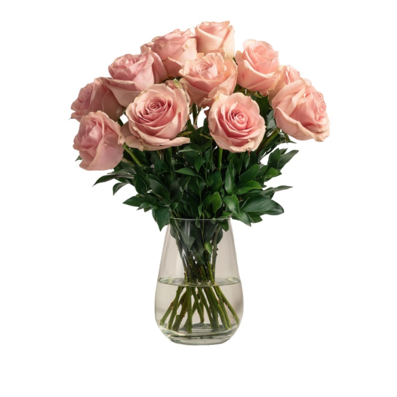 Pink Hope|Regular|Deluxe|Supersize