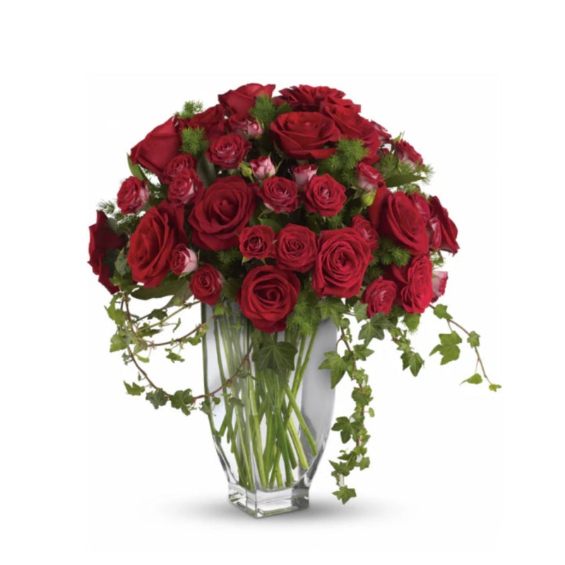 Rose Romanesque|Regular