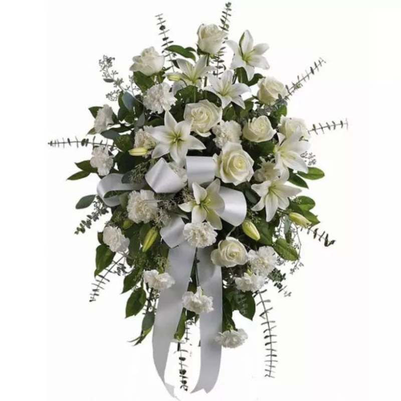 Sentiments of Serenity|Regular