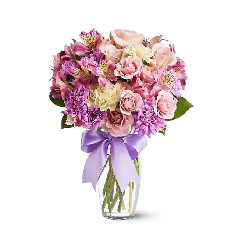 Splendid Spring|Regular|Deluxe|Supersize