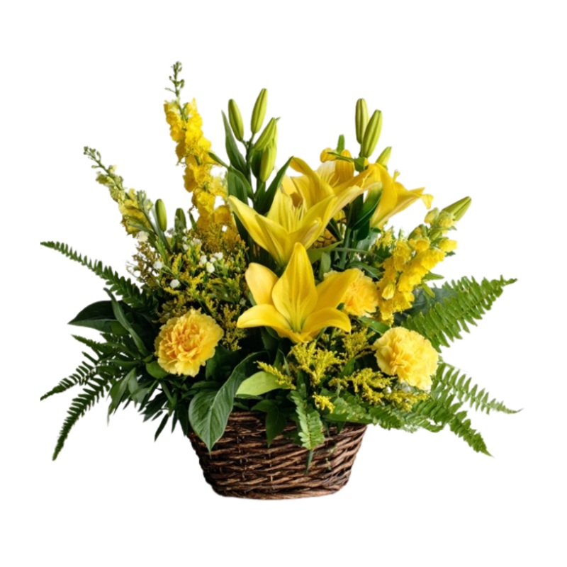 Sunrise Goodbyes|Regular