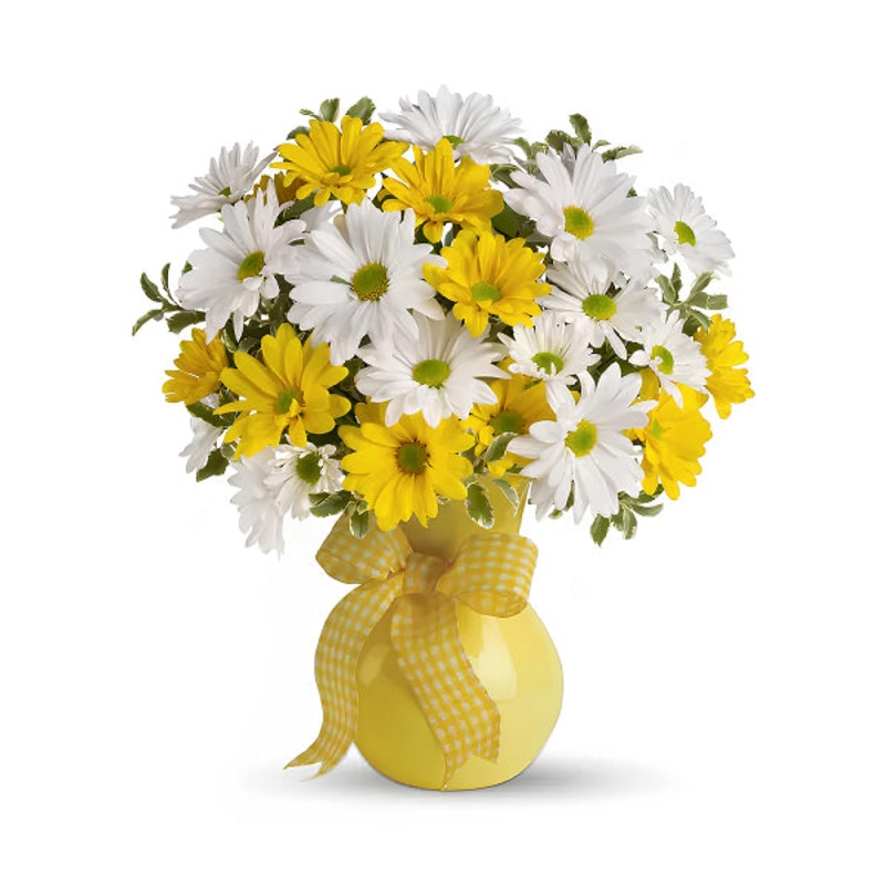 Sunshine Daisies|Regular|Deluxe|Supersize