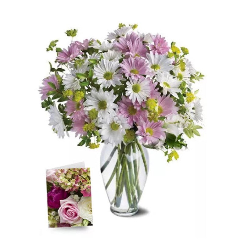 Sweet Blossoms Collection I|Regular