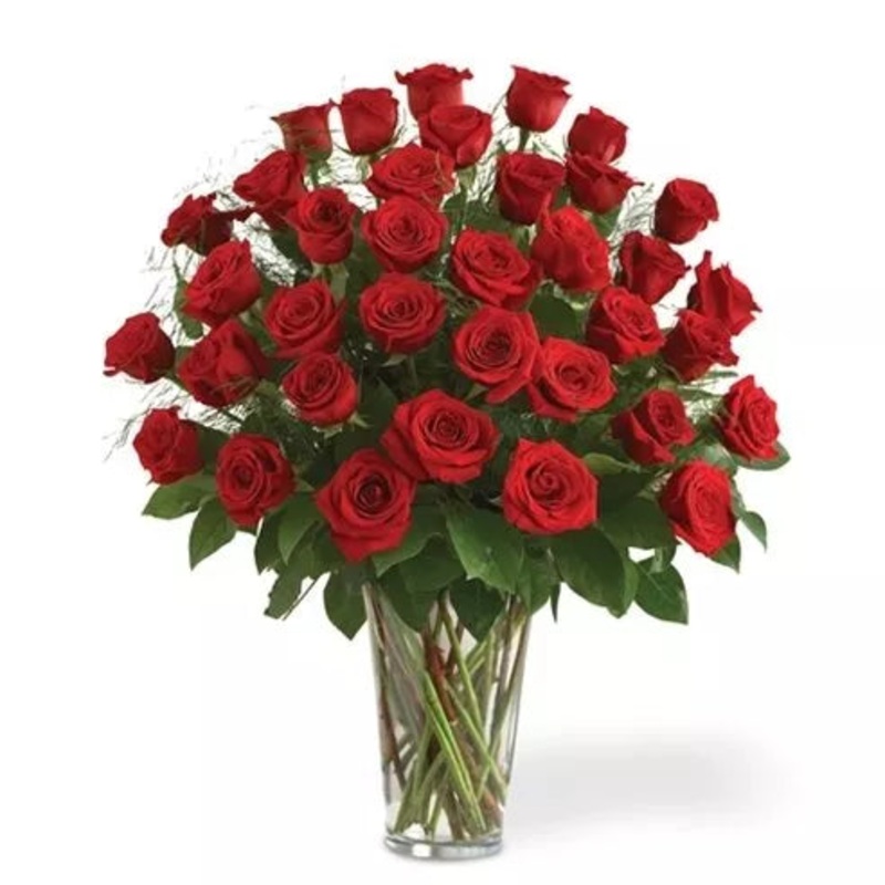 Three Dozen Long Stem Red Roses