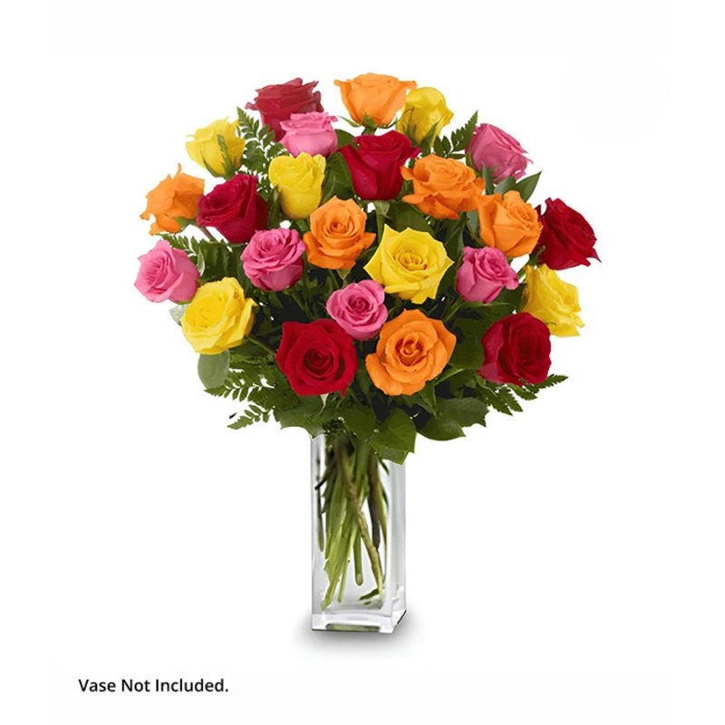 Two Dozen Long Stemmed Mixed Roses