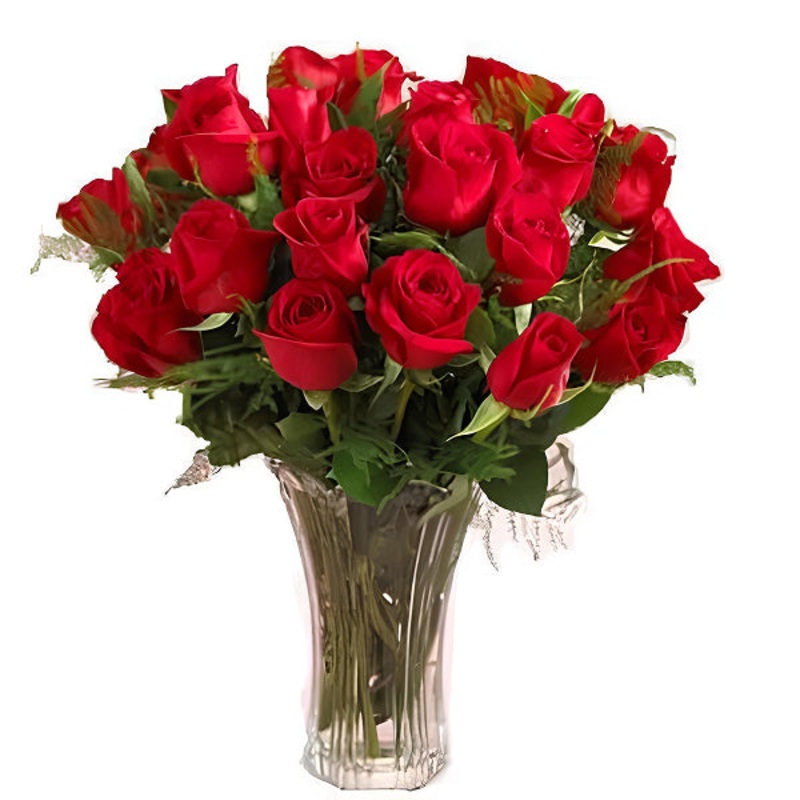 Two Dozen Red Roses|Regular