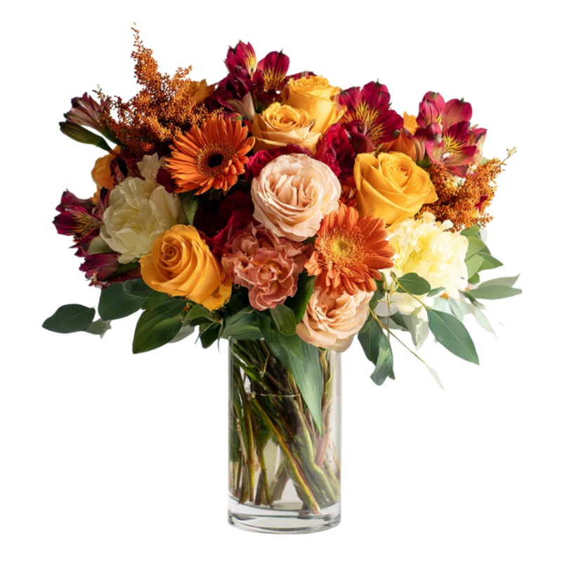 Autumn Designers Collection I|Autumn Designers Collection I