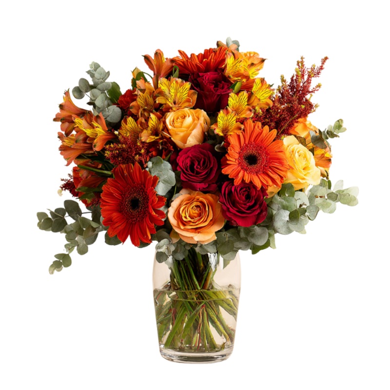 Autumn Designers Collection II