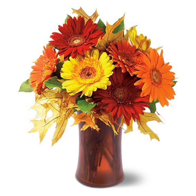 Autumn Gerberas|Autumn Gerberas
