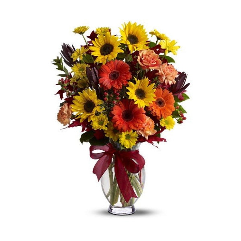 Autumn Glory|Autumn Glory