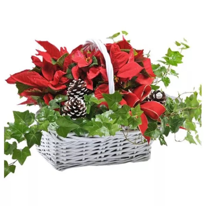 Happy Holidays Planter Basket|Happy Holidays Planter Basket