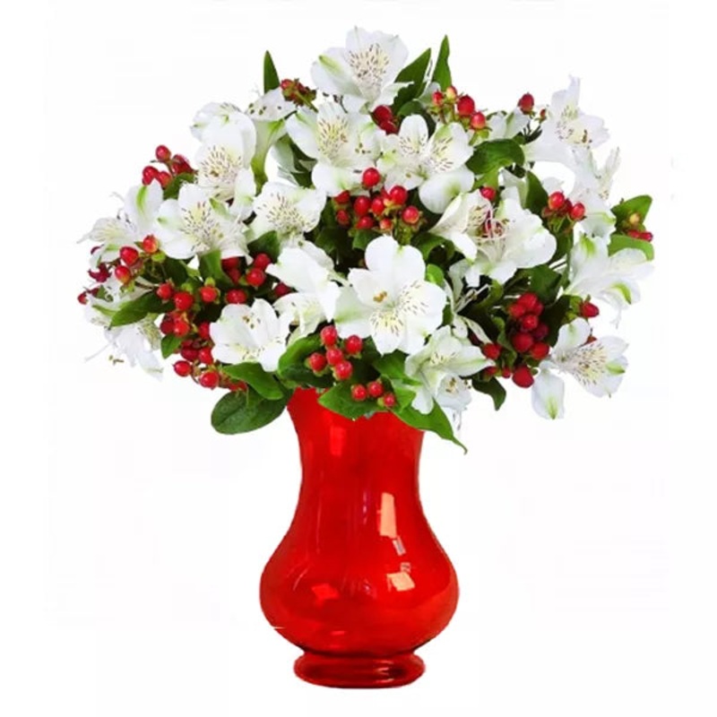 Holiday Alstroemeria|Holiday Alstroemeria