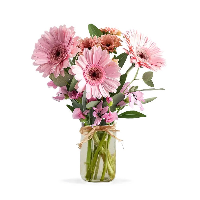 Shades of Pink in Mason Jar|Regular