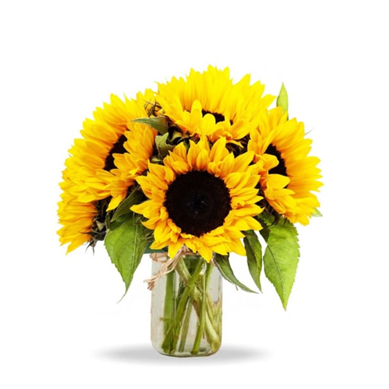 Simply Sunflowers in Mason Jar